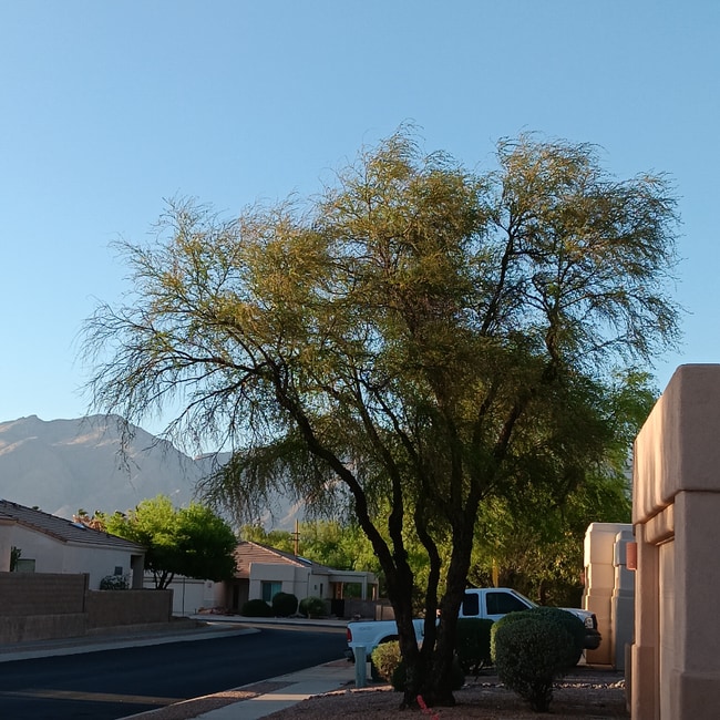property at 742 N Ave Valiente