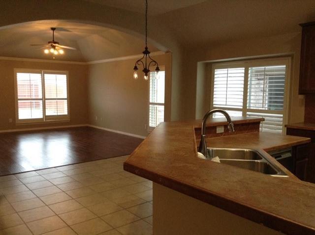 2732 Cascade Cove Dr in Little Elm, TX - Building Photo - Building Photo