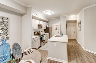 The Preserve at Westchase Apartamentos