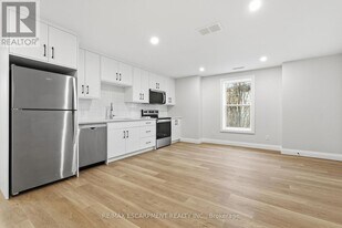 231 Park St N in Hamilton, ON - Building Photo