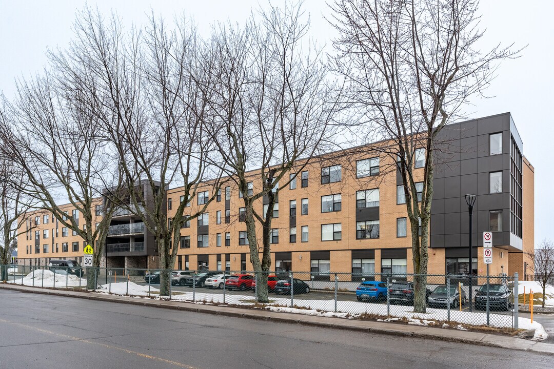 44 De Bienville St in Lévis, QC - Building Photo