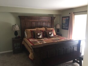 53 Pelican Cir in Breckenridge, CO - Building Photo - Building Photo
