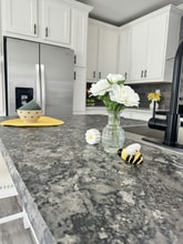 3034 SW 108th Pl in Ocala, FL - Building Photo - Building Photo