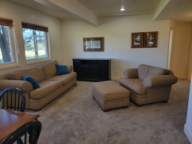 61 W Surrey Dr, Unit Basement Apartment in Castle Rock, CO - Building Photo - Building Photo