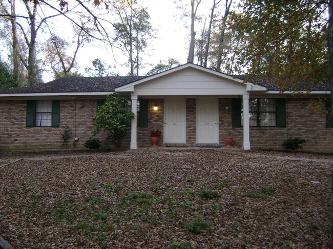 property at 117 /119 Cecil Ln