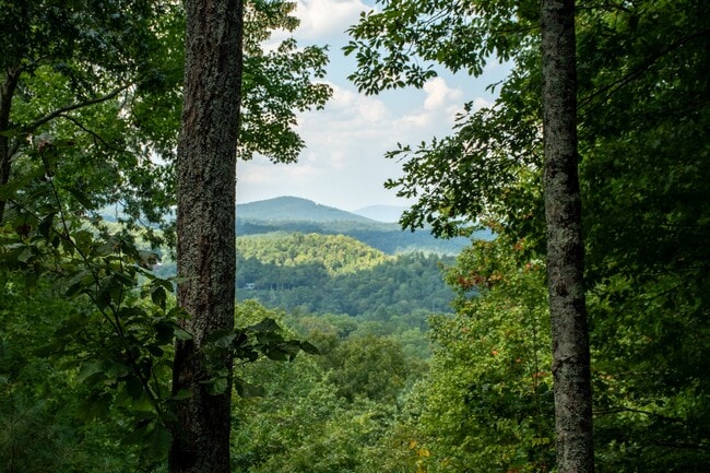 423 Laurel Creek Road in Blue Ridge, GA - Building Photo - Building Photo