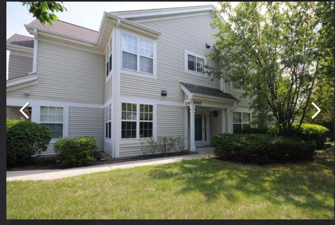 1067 Providence Ln in Buffalo Grove, IL - Building Photo