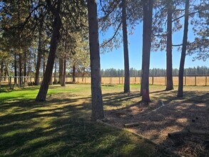 69210 Harness in Sisters, OR - Building Photo - Building Photo