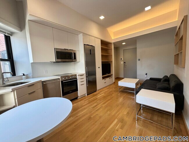 115 Mt Auburn St