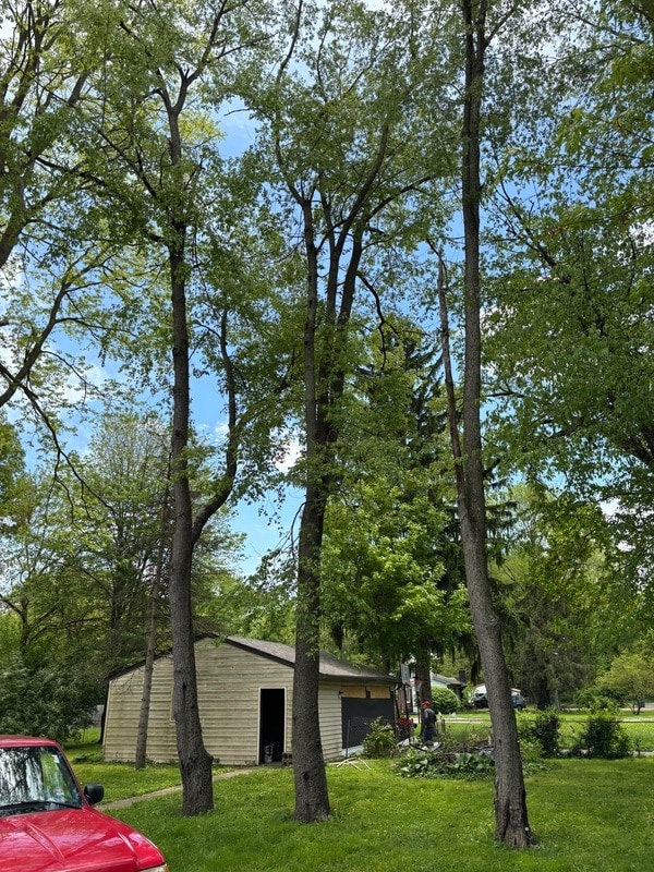 5145 Patterson St in Indianapolis, IN - Building Photo - Building Photo