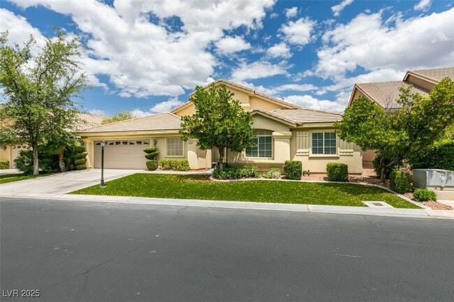 10732 Tapestry Winds St in Las Vegas, NV - Building Photo - Building Photo