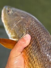 350 79th Ave N, Unit 122 in St. Petersburg, FL - Foto de edificio - Building Photo