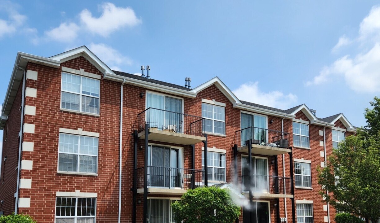 9810 Liberty Cir in Orland Park, IL - Building Photo