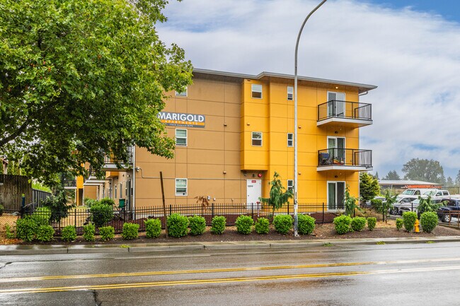 Marigold Apartments in Burien, WA - Building Photo - Building Photo