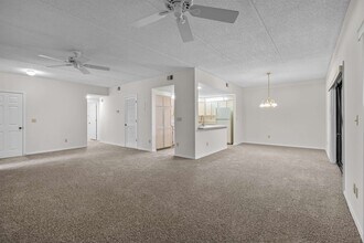 11 Santiago Ct in St. Augustine, FL - Building Photo - Building Photo