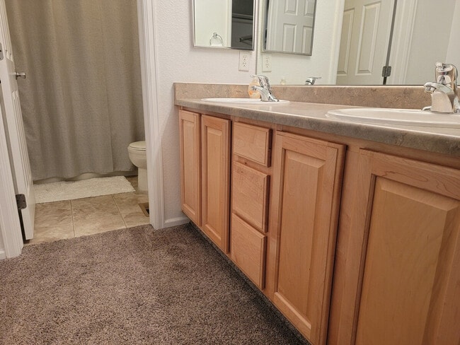 479 Black Feather Loop, Unit SI ID1045092P in Castle Rock, CO - Building Photo - Building Photo