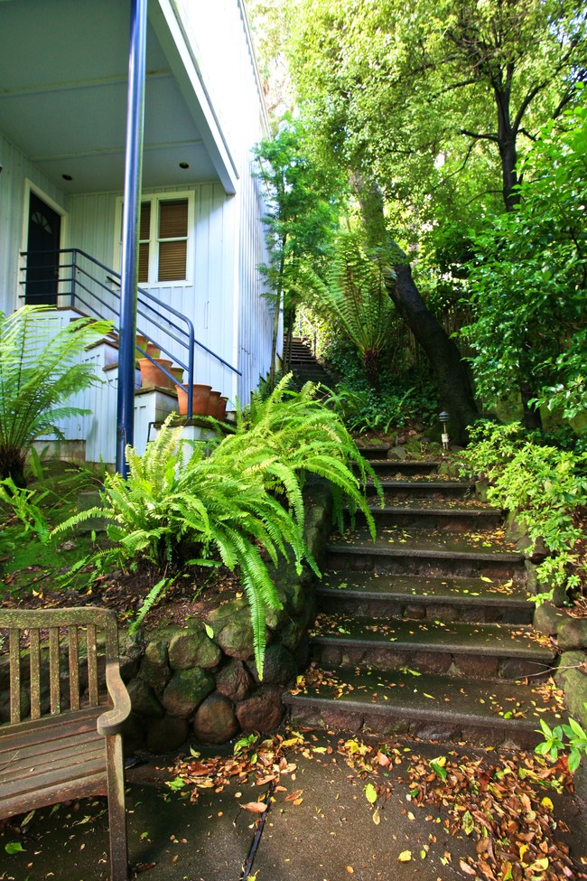 71 Central Ave in Sausalito, CA - Building Photo - Building Photo