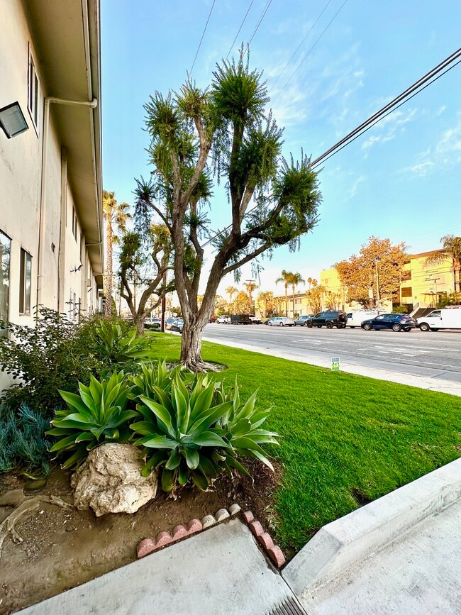 Kingston in Sherman Oaks, CA - Building Photo - Building Photo