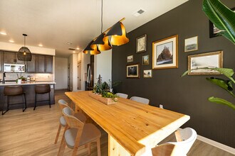 4456 Barrow Ln in Timnath, CO - Building Photo - Building Photo