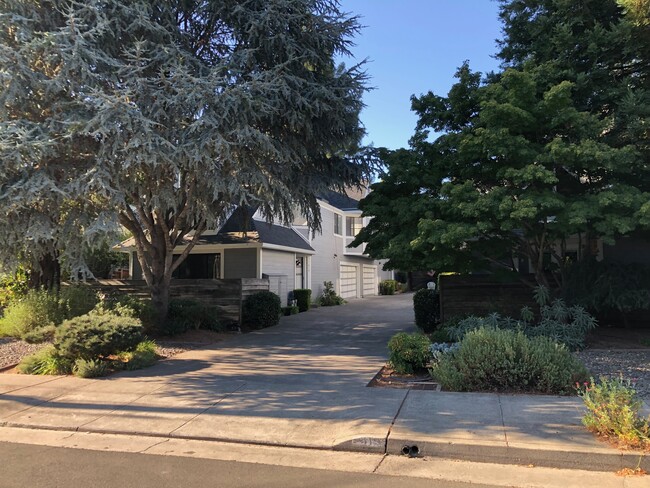 419 Matheson Street in Healdsburg, CA - Foto de edificio - Building Photo