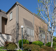 4617 Alla Rd Apartments