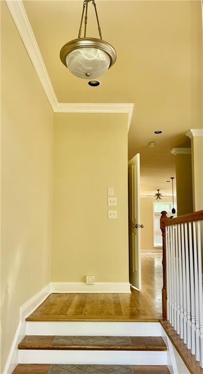 10816 Ellicot Way in Alpharetta, GA - Building Photo - Building Photo