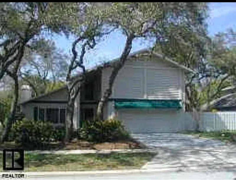 2009 Oak View Ln in Palm Harbor, FL - Building Photo