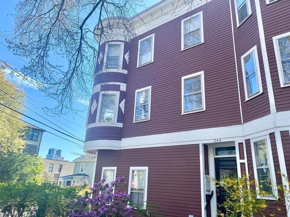 250 Brookline St, Unit 3 in Cambridge, MA - Building Photo
