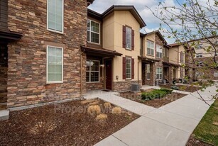 8377 Lorenzo Ln in Highlands Ranch, CO - Building Photo