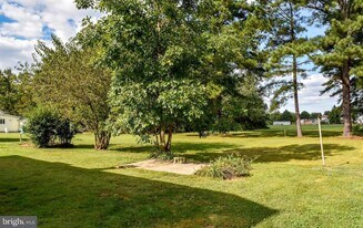 15 Sycamore Ave in Easton, MD - Building Photo