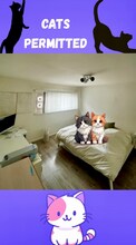 3657 Mentone Ave in Los Angeles, CA - Building Photo - Building Photo