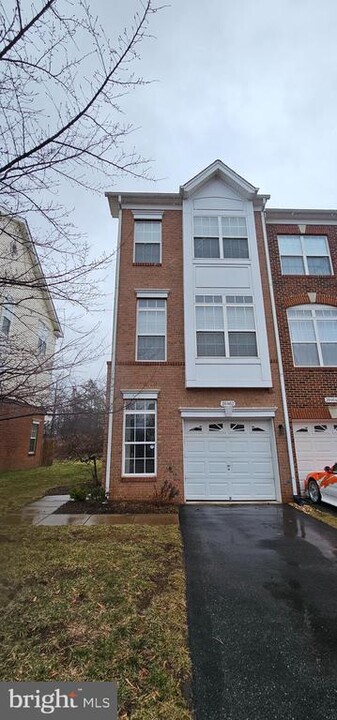 20462 Alicent Terrace in Ashburn, VA - Building Photo