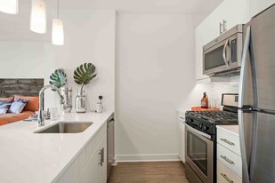 1020 S State St in Chicago, IL - Building Photo