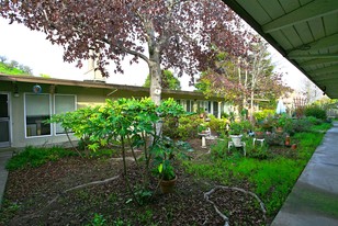 1040 6th St in Novato, CA - Foto de edificio - Building Photo