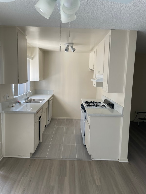824 S Wooster St in Los Angeles, CA - Building Photo - Building Photo