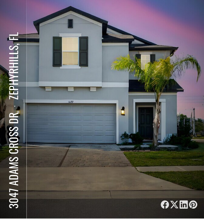 3047 Adams Cross Dr in Zephyrhills, FL - Building Photo