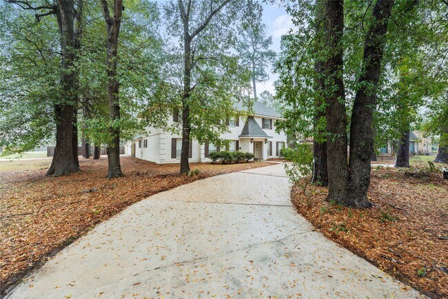 17814 Theiss Mail Rte Rd in Spring, TX - Building Photo - Building Photo