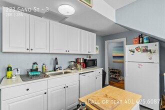 223 Gano St in Providence, RI - Building Photo - Building Photo