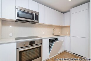 334 Harvard St, Unit E3 in Cambridge, MA - Building Photo