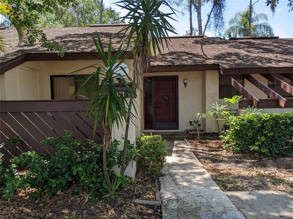4023 Bluff Oak Ct in Palm Harbor, FL - Building Photo