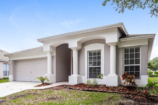12534 Herons Path Pl in Riverview, FL - Building Photo
