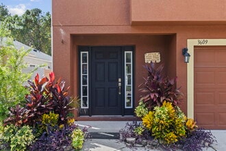 3609 Fyfield Ct in Land O Lakes, FL - Foto de edificio - Building Photo