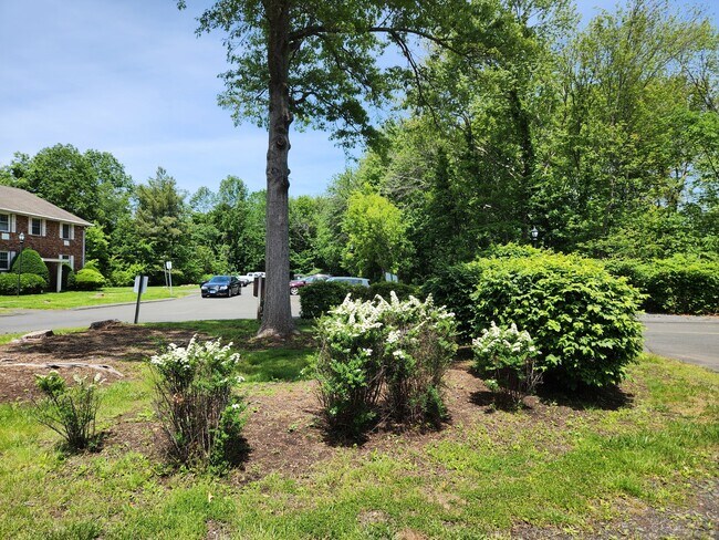 1465 C Willard Ave in Newington, CT - Building Photo - Building Photo