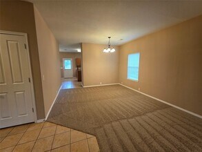 915 Butterfly Ln in Rosenberg, TX - Building Photo - Building Photo