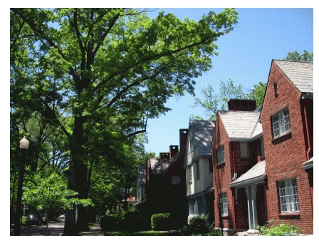 Mariemont Townhomes in Cincinnati, OH - Foto de edificio