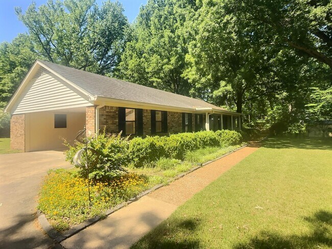 335 Alexander Cove in Collierville, TN - Building Photo - Building Photo