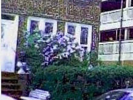 1029 48th St in Brooklyn, NY - Foto de edificio - Building Photo