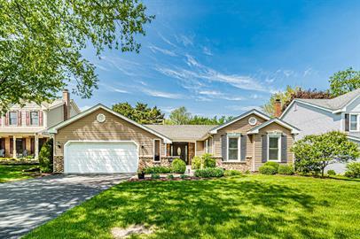 222 Carmelhead Ln in Schaumburg, IL - Foto de edificio