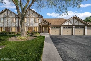 920 Surrey Dr in Schaumburg, IL - Building Photo
