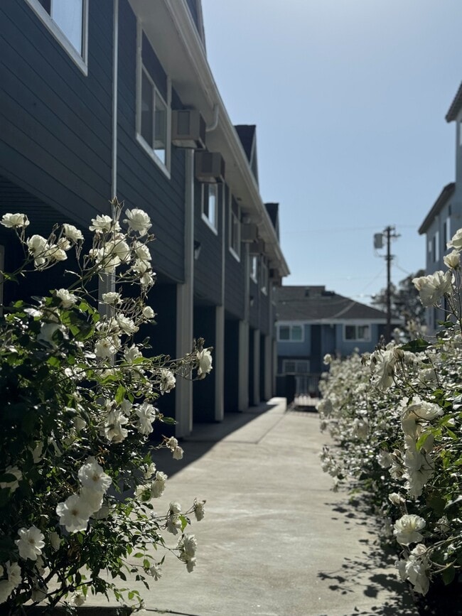 1286 W Adams Blvd in Los Angeles, CA - Building Photo - Building Photo